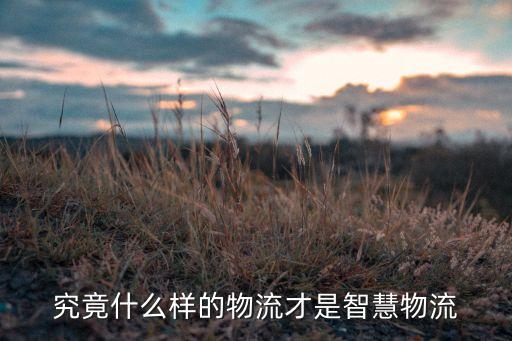 什么是智慧物流，什么是智慧物流