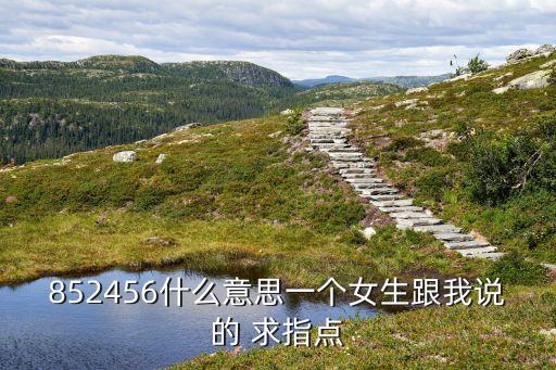 852456什么意思一個女生跟我說的 求指點