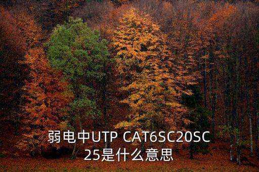 弱電中UTP CAT6SC20SC25是什么意思