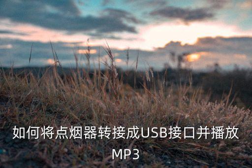 點(diǎn)煙器轉(zhuǎn)usb，如何將點(diǎn)煙器轉(zhuǎn)接成USB接口并播放MP3