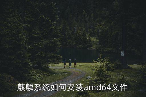 麒麟系統(tǒng)如何安裝amd64文件