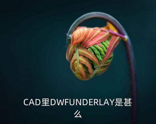 CAD里DWFUNDERLAY是甚么