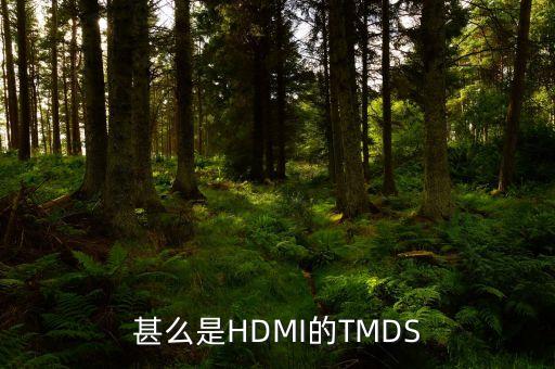甚么是HDMI的TMDS