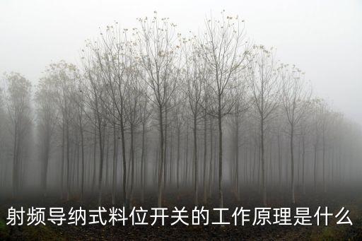 射頻導(dǎo)納式料位開關(guān)的工作原理是什么