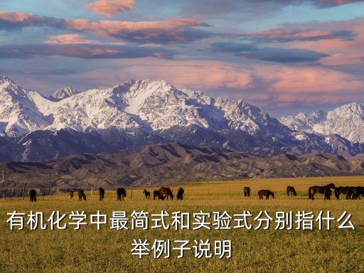 有機(jī)化學(xué)中最簡(jiǎn)式和實(shí)驗(yàn)式分別指什么舉例子說明