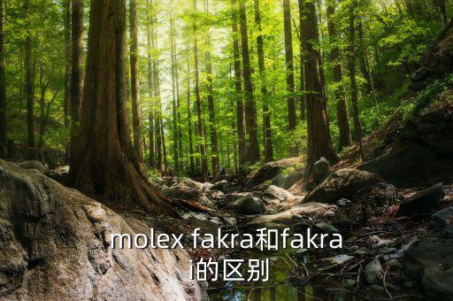 molex fakra和fakra i的區(qū)別