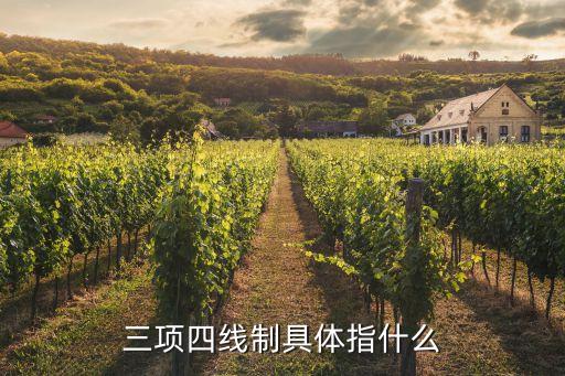 三項四線制具體指什么