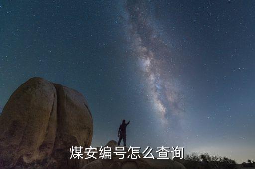 煤安編號(hào)怎么查詢