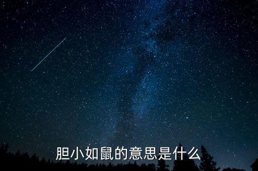膽小鼠，膽小如鼠的意思