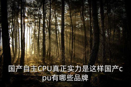 國產(chǎn)自主CPU真正實力是這樣國產(chǎn)cpu有哪些品牌