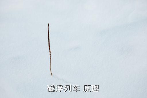 磁浮列車 原理