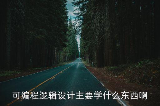 可編程邏輯設(shè)計主要學(xué)什么東西啊