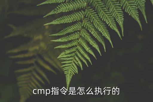 cmp指令是怎么執(zhí)行的