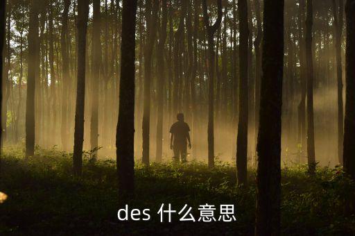 des 什么意思