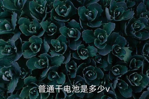 普通干電池是多少v