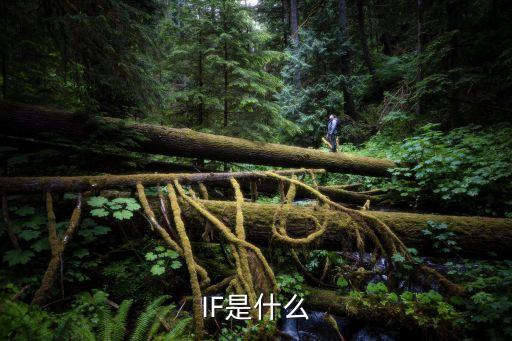 IF是什么