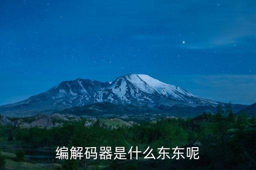 編碼解碼器，編解碼器是什么東東呢