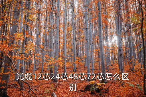 光纜12芯24芯48芯72芯怎么區(qū)別
