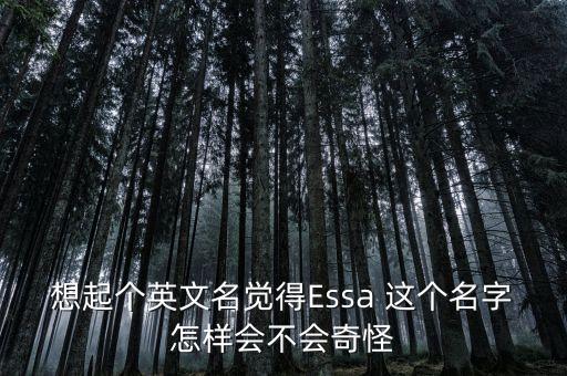 想起個英文名覺得Essa 這個名字怎樣會不會奇怪