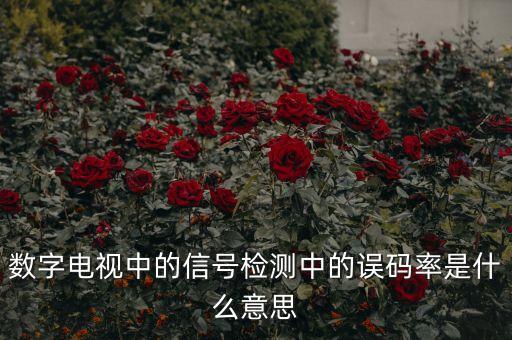 數(shù)字電視中的信號(hào)檢測(cè)中的誤碼率是什么意思