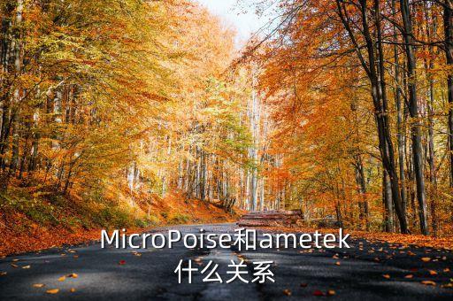 ametek，ametek 科學儀器部 做銷售怎么樣