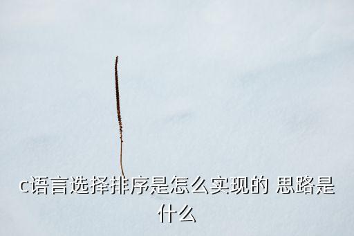 c語言選擇排序是怎么實現(xiàn)的 思路是什么