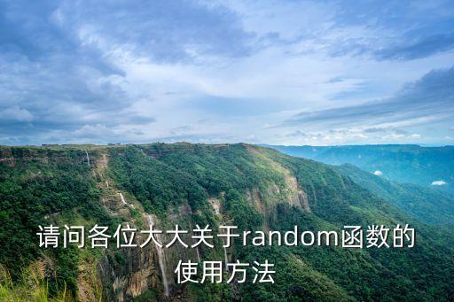 請(qǐng)問(wèn)各位大大關(guān)于random函數(shù)的使用方法