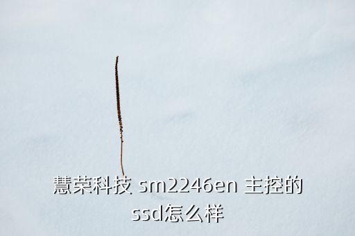 慧榮科技 sm2246en 主控的ssd怎么樣