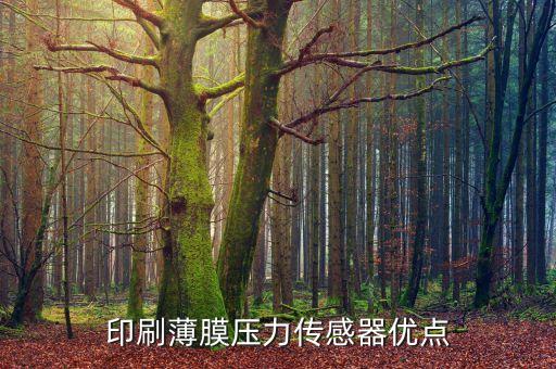 印刷薄膜壓力傳感器優(yōu)點(diǎn)