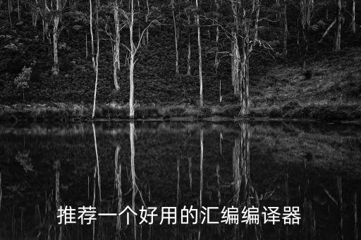 匯編語(yǔ)言編譯器，學(xué)匯編用什么編譯器比較好呀