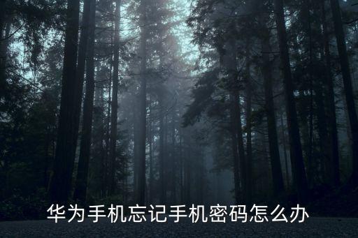 華為解鎖，華為的手機(jī)忘記解鎖密碼了