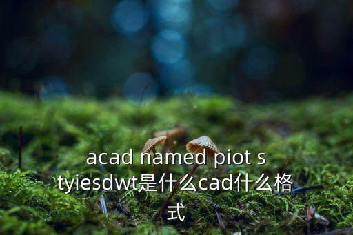 acad named piot styiesdwt是什么cad什么格式