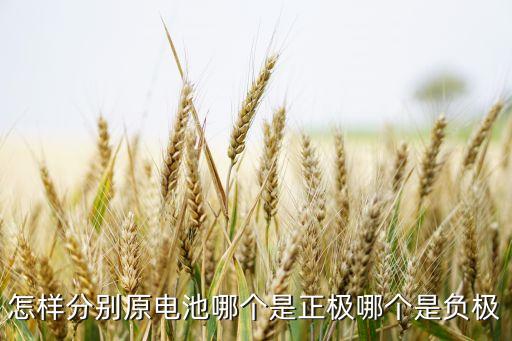 原電池正負(fù)極判斷，怎樣分別原電池哪個(gè)是正極哪個(gè)是負(fù)極