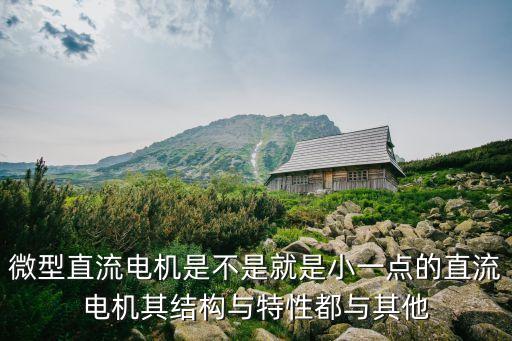 微型直流電機(jī)是不是就是小一點(diǎn)的直流電機(jī)其結(jié)構(gòu)與特性都與其他