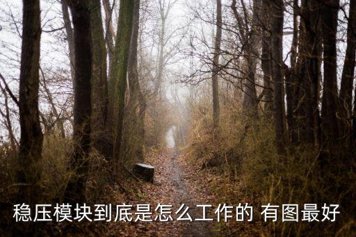 穩(wěn)壓模塊到底是怎么工作的 有圖最好