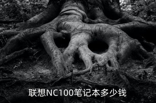 聯(lián)想NC100筆記本多少錢
