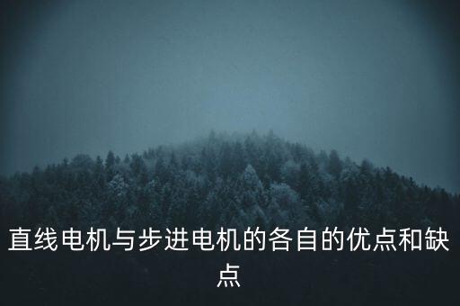 直線電機(jī)與步進(jìn)電機(jī)的各自的優(yōu)點(diǎn)和缺點(diǎn)