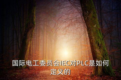 國際電工委員會IEC對PLC是如何定義的
