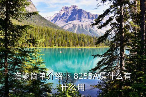誰能簡單介紹下 8255A是什么有什么用