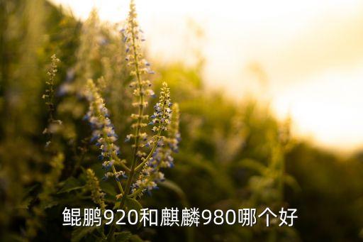 鯤鵬920和麒麟980哪個(gè)好