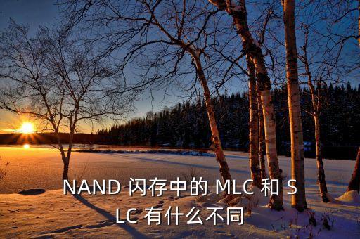 mlc，mlc是什么