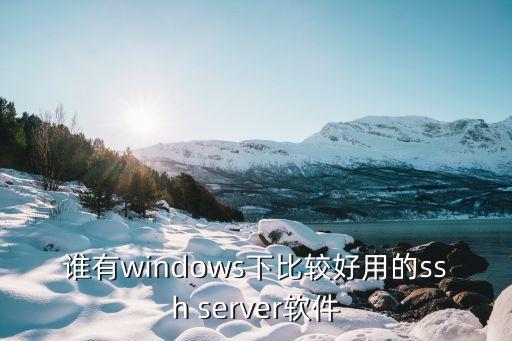 ssh連接工具，誰有windows下比較好用的ssh server軟件