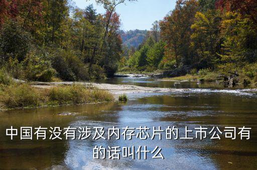 存儲芯片上市公司，中國有沒有涉及內(nèi)存芯片的上市公司有的話叫什么