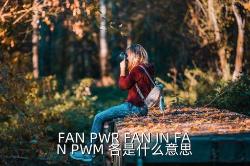 FAN PWR FAN IN FAN PWM 各是什么意思