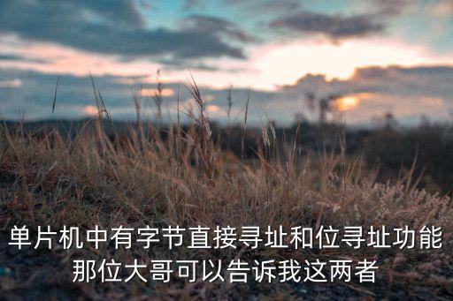 單片機(jī)中有字節(jié)直接尋址和位尋址功能那位大哥可以告訴我這兩者