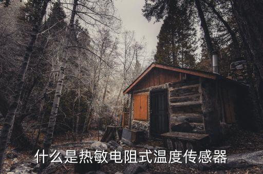 熱敏電阻傳感器，熱敏電阻什么原理本田鋒范車