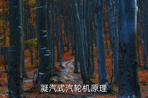 凝汽式汽輪機(jī)原理