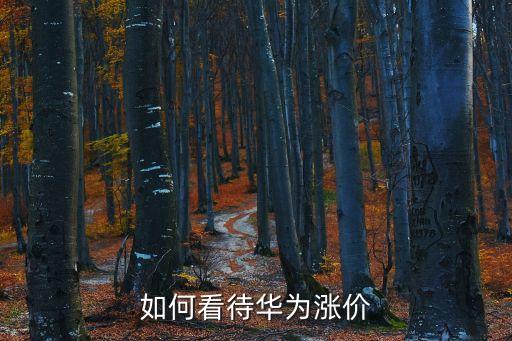 中芯國(guó)際財(cái)報(bào)，上海宏力半導(dǎo)體成功面試的方法