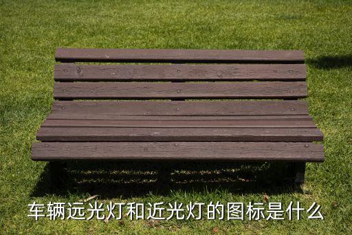 車輛遠(yuǎn)光燈和近光燈的圖標(biāo)是什么