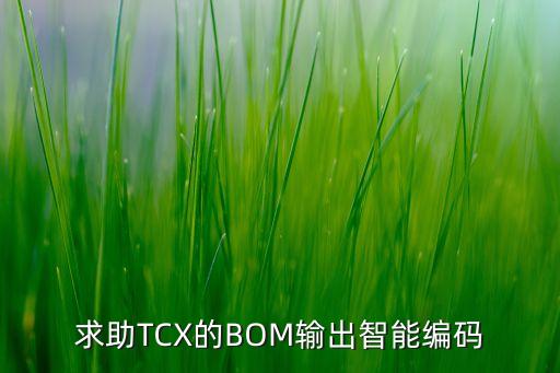 求助TCX的BOM輸出智能編碼